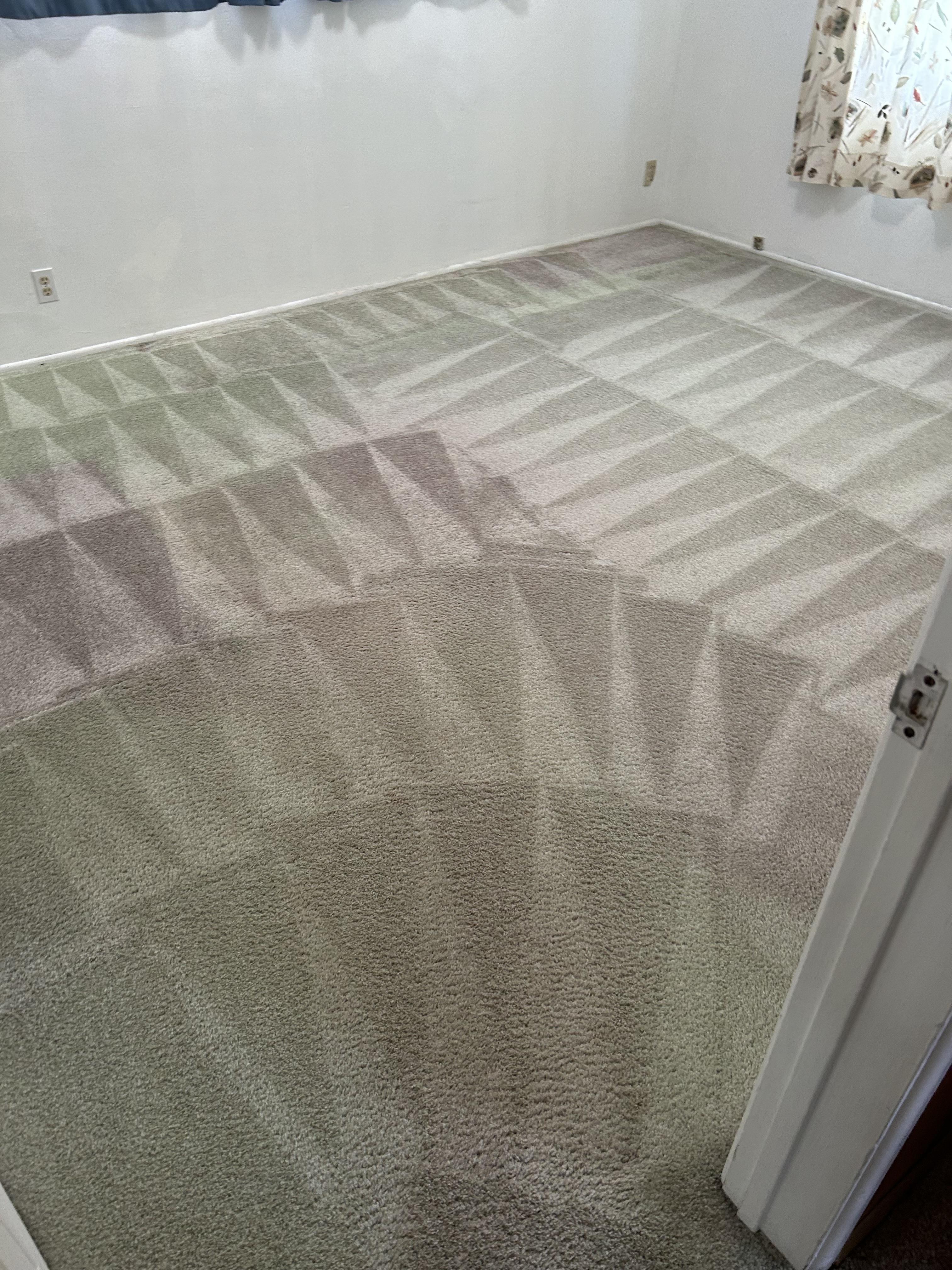 Habitación con alfombra limpia mostrando patrones geométricos claros.